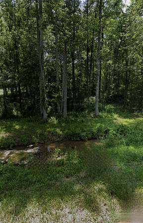 19 Acres of Recreational & Residential Land for Sale in Wellington, Kentucky