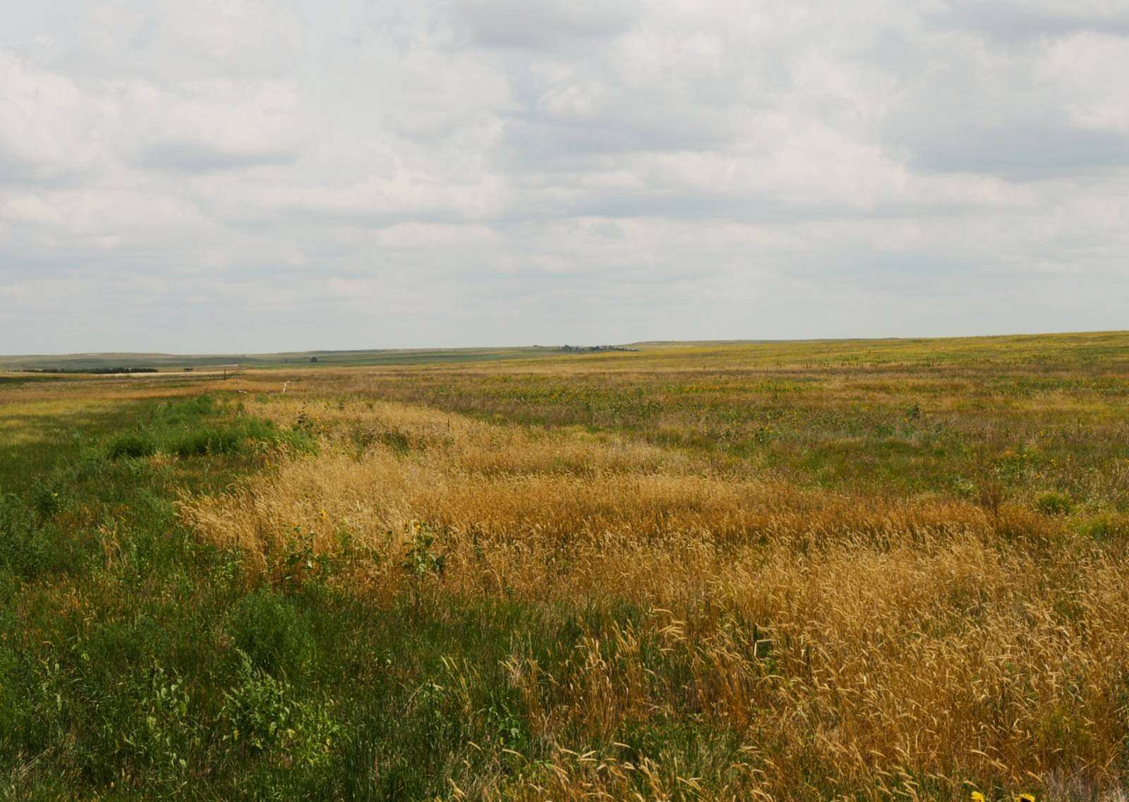 325 Acres of Land for Sale in Bushnell, Nebraska