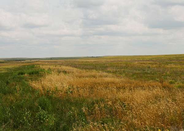 325 Acres of Land for Sale in Bushnell, Nebraska