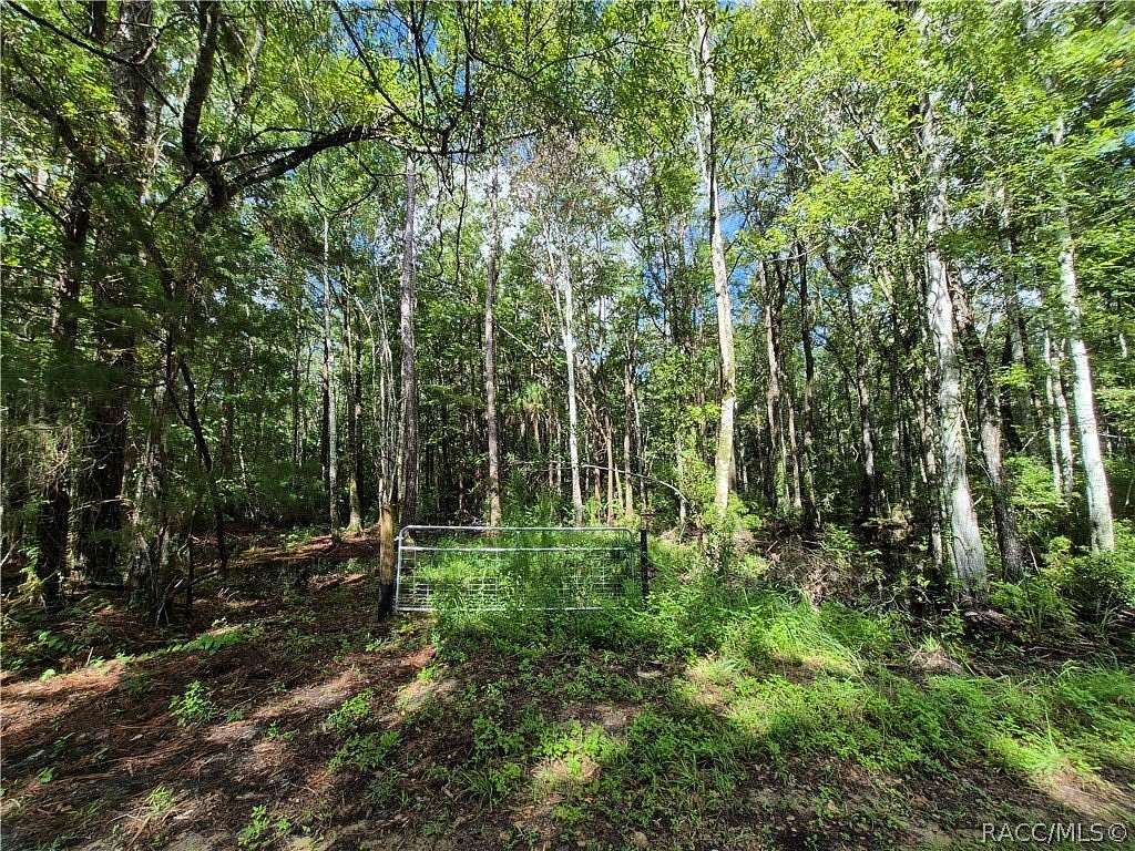 2.68 Acres of Residential Land for Sale in Homosassa, Florida