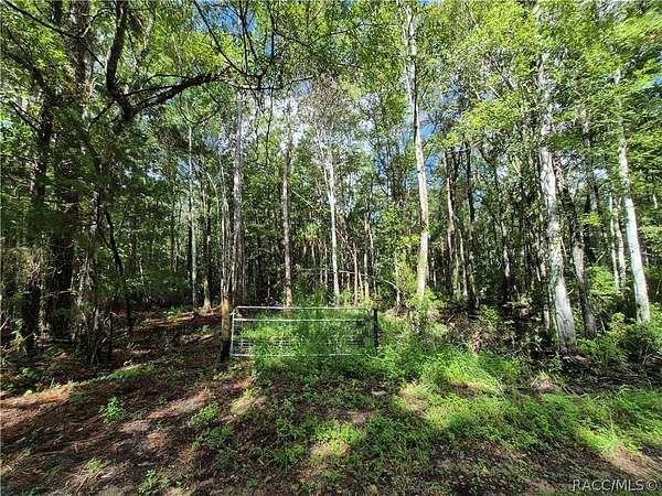 2.68 Acres of Residential Land for Sale in Homosassa, Florida