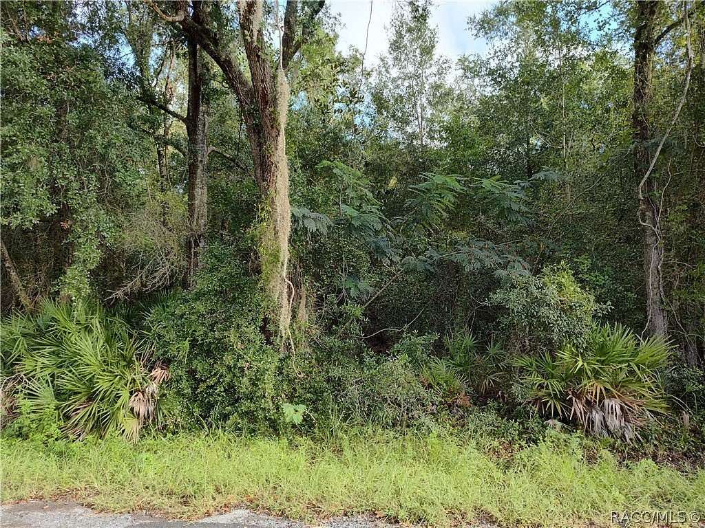 1.48 Acres of Land for Sale in Homosassa, Florida