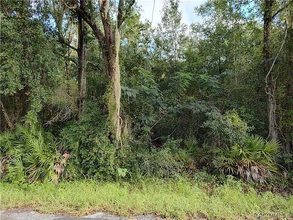 1.48 Acres of Land for Sale in Homosassa, Florida