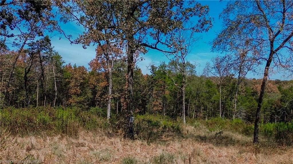2.51 Acres of Land for Sale in Cecil, Arkansas