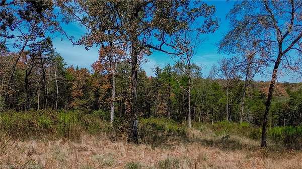 2.51 Acres of Land for Sale in Cecil, Arkansas