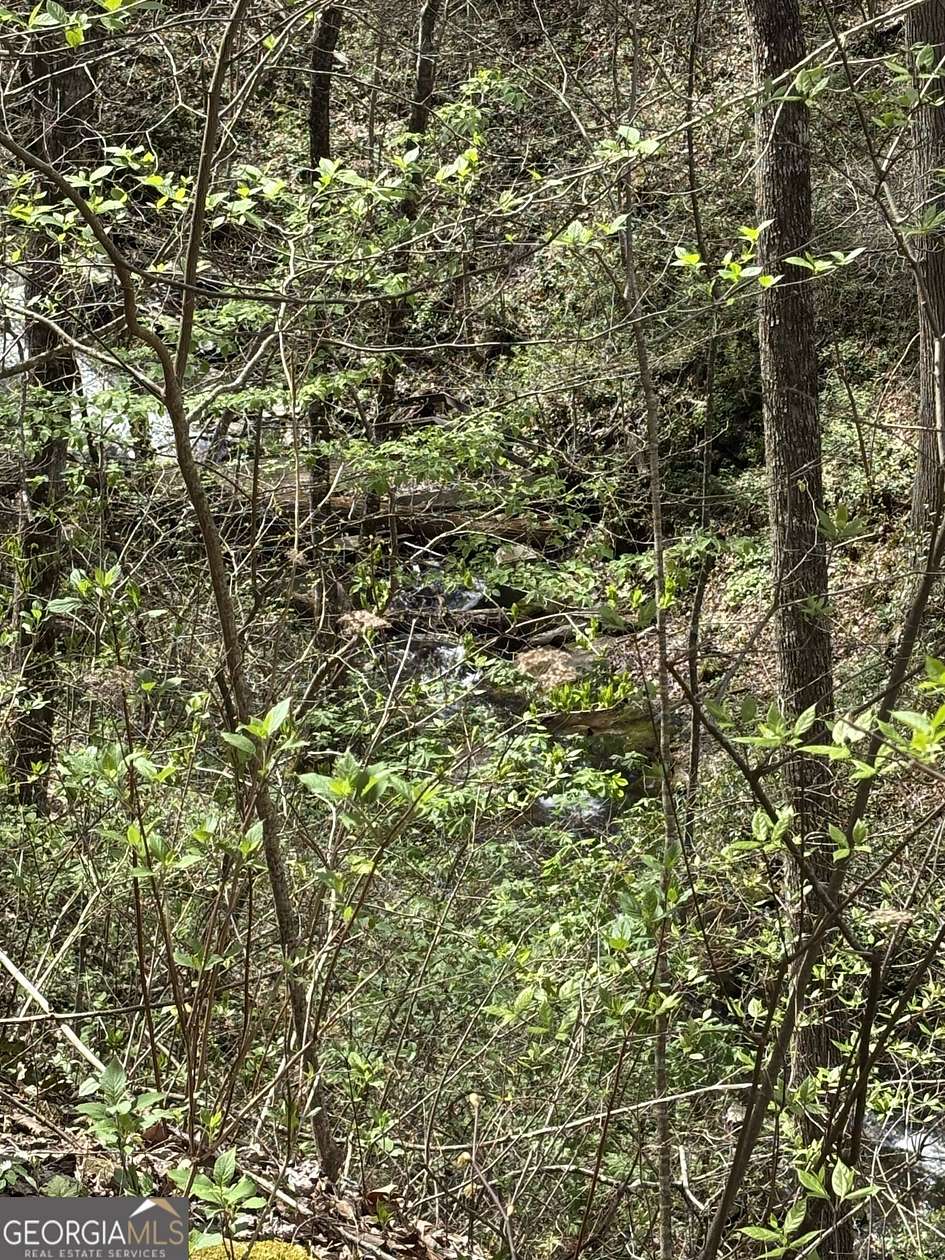 3.32 Acres of Land for Sale in Dawsonville, Georgia
