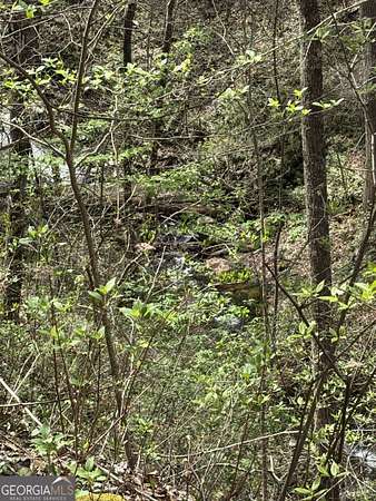 3.32 Acres of Land for Sale in Dawsonville, Georgia