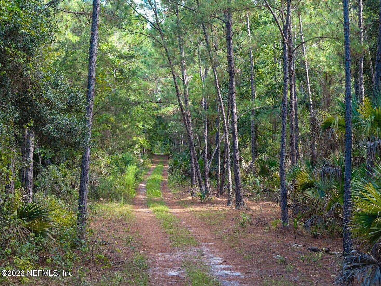0.46 Acres of Residential Land for Sale in Georgetown, Florida