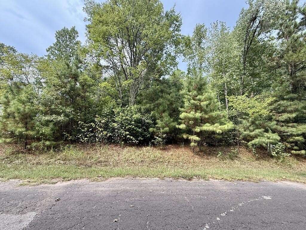 0.27 Acres of Residential Land for Sale in Hemphill, Texas