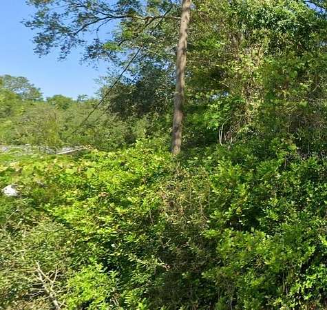 0.24 Acres of Residential Land for Sale in Dunnellon, Florida