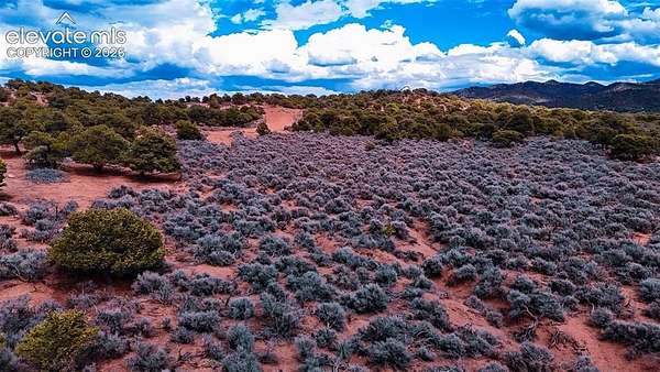 5 Acres of Residential Land for Sale in Fort Garland, Colorado