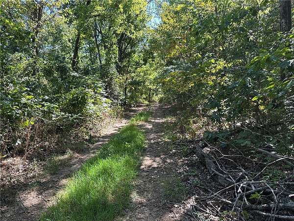 40 Acres of Recreational & Residential Land for Sale in Marble Falls Township, Arkansas