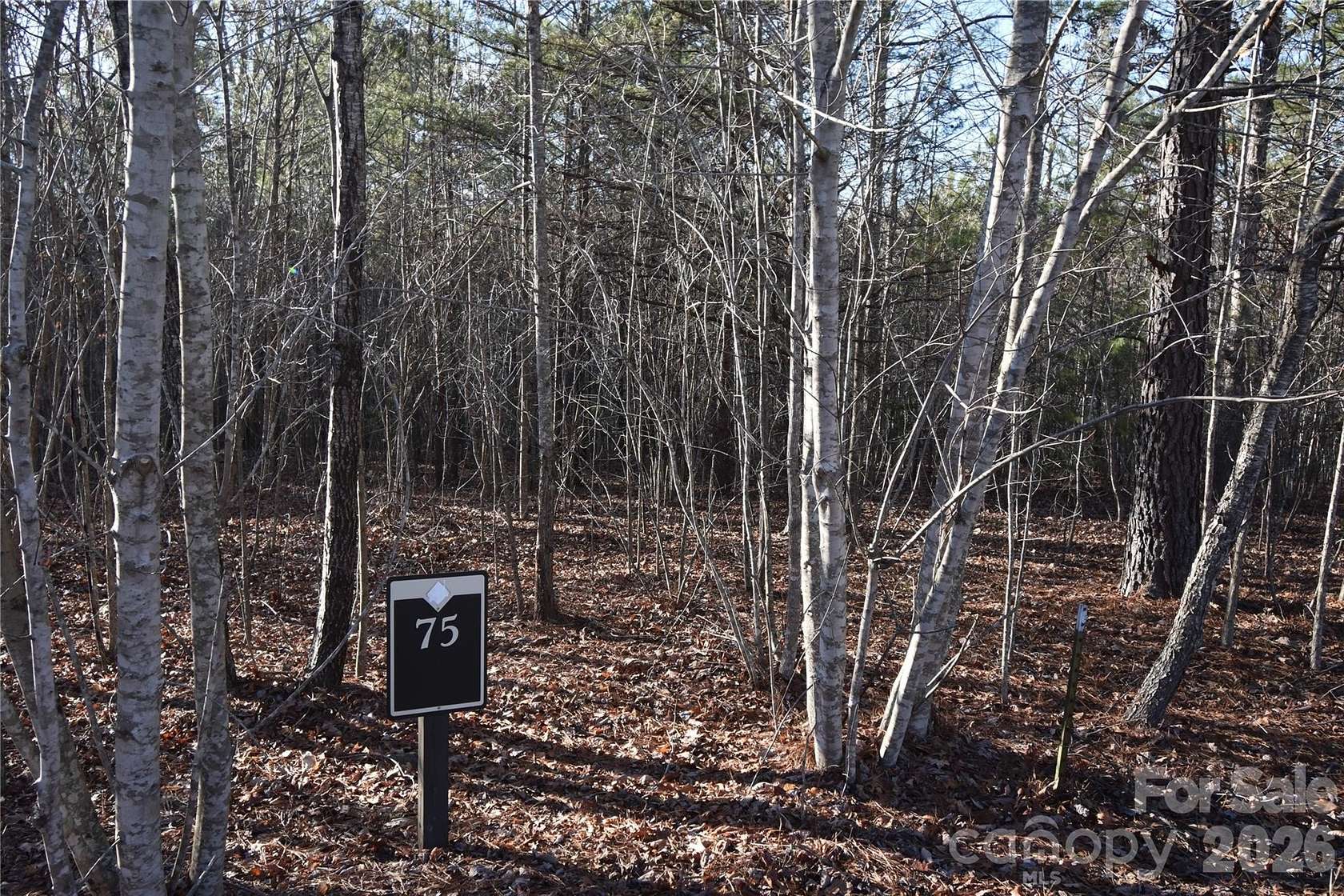 3.19 Acres of Residential Land for Sale in Nebo, North Carolina