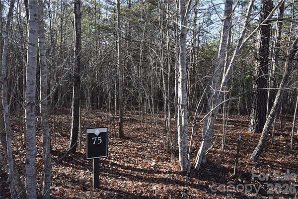 3.19 Acres of Residential Land for Sale in Nebo, North Carolina