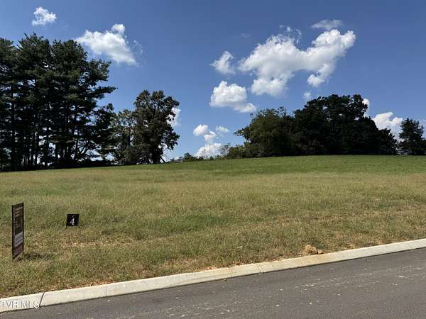 Residential Land for Sale in Gray, Tennessee