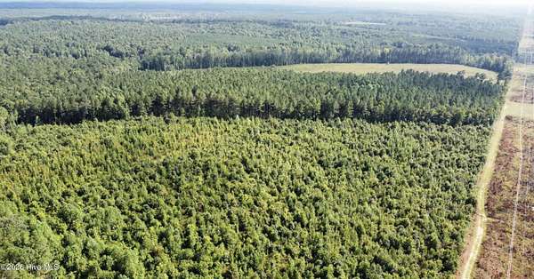 49.3 Acres of Recreational Land for Sale in Warrenton, North Carolina