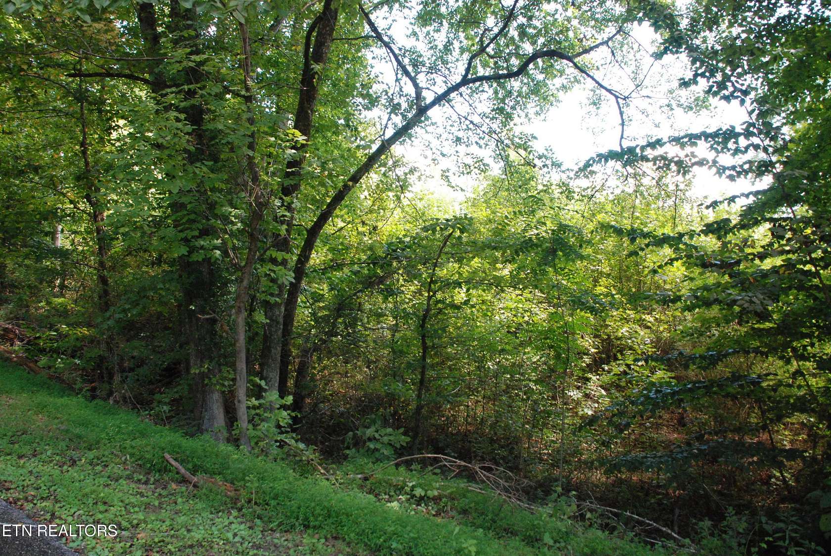 1.36 Acres of Residential Land for Sale in Harriman, Tennessee
