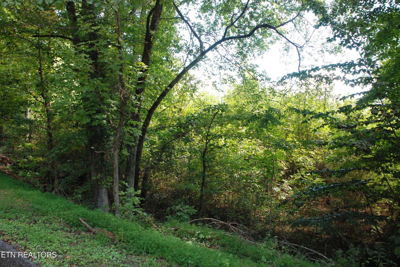 1.36 Acres of Residential Land for Sale in Harriman, Tennessee