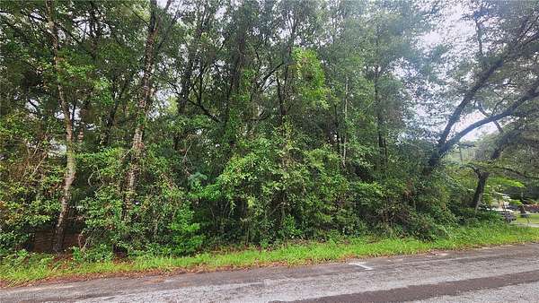 0.32 Acres of Land for Sale in Homosassa, Florida