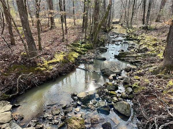 22.8 Acres of Recreational & Residential Land for Sale in Salem, Alabama