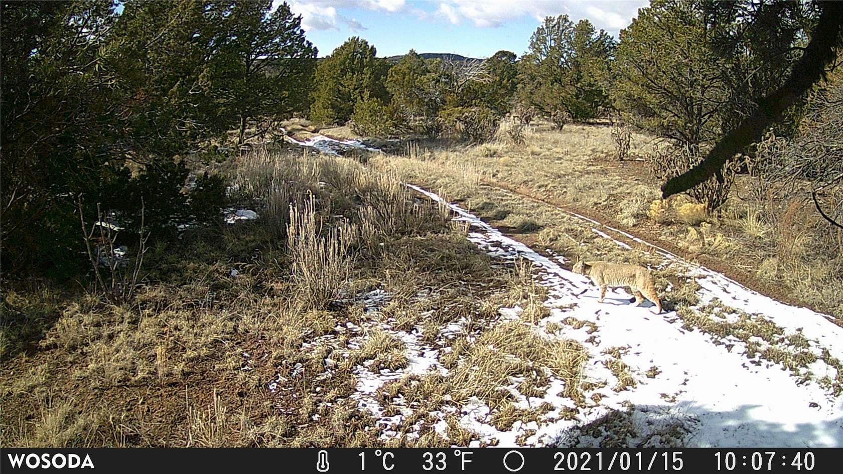 154 Acres of Recreational & Residential Land for Sale in Santa Fe, New Mexico