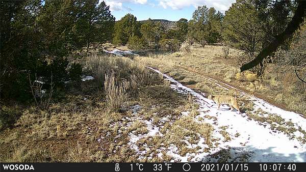 154 Acres of Recreational & Residential Land for Sale in Santa Fe, New Mexico