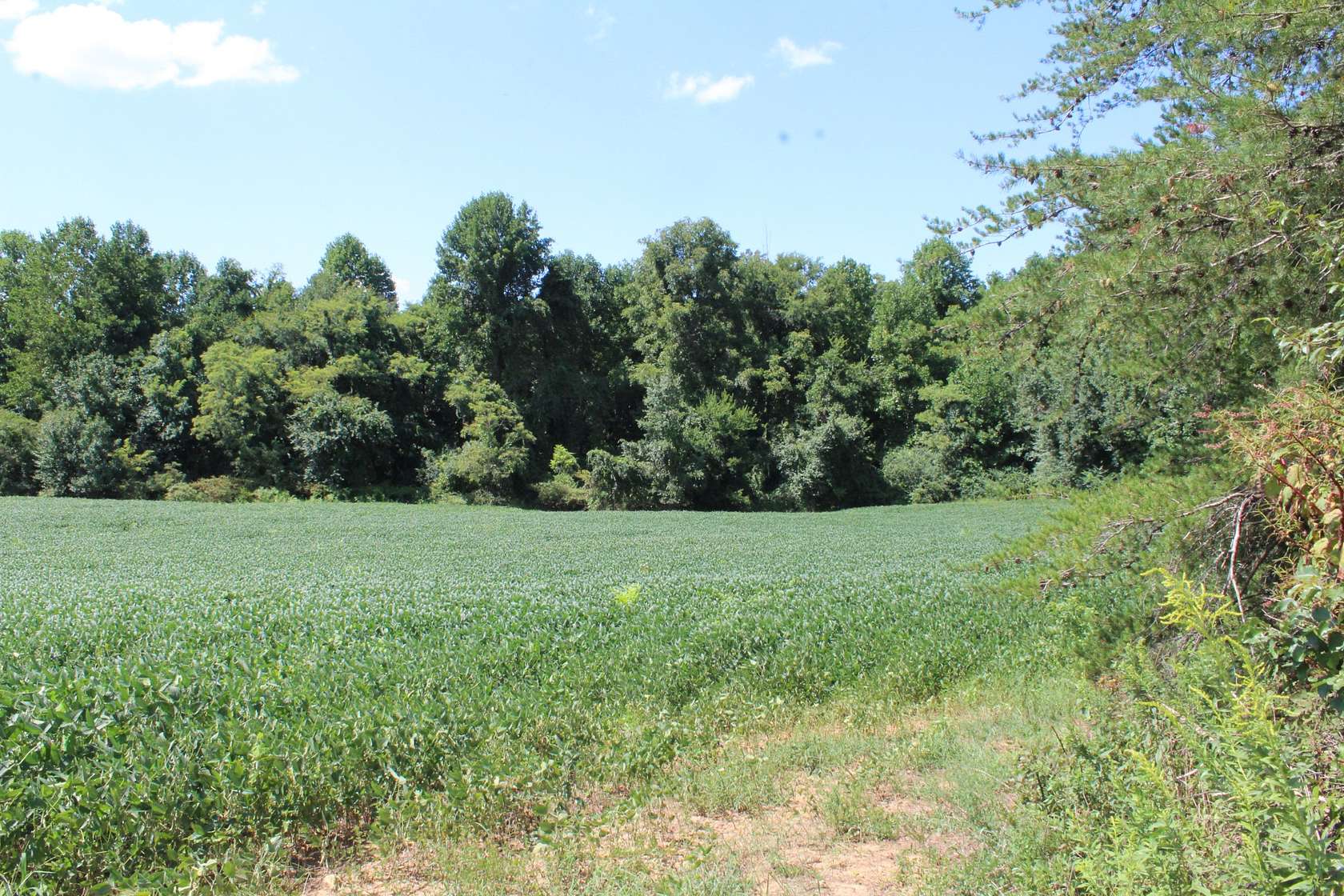 6.56 Acres of Land for Sale in McMinnville, Tennessee