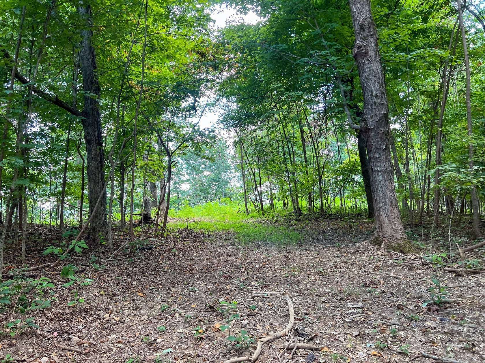 52.3 Acres of Land for Sale in Christiana, Tennessee