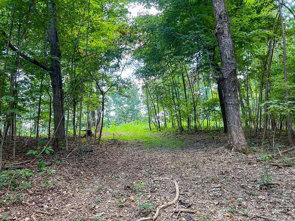 52.3 Acres of Land for Sale in Christiana, Tennessee