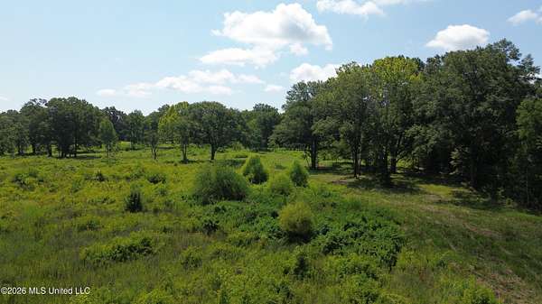 8 Acres of Commercial Land for Sale in Gluckstadt, Mississippi