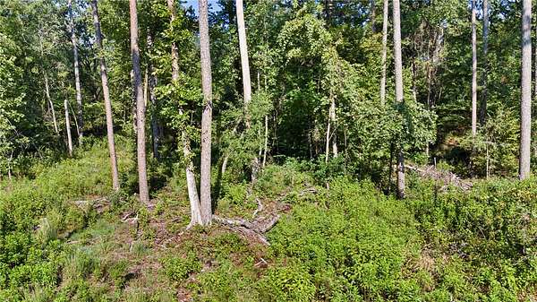 40 Acres of Recreational Land for Sale in Hector, Arkansas