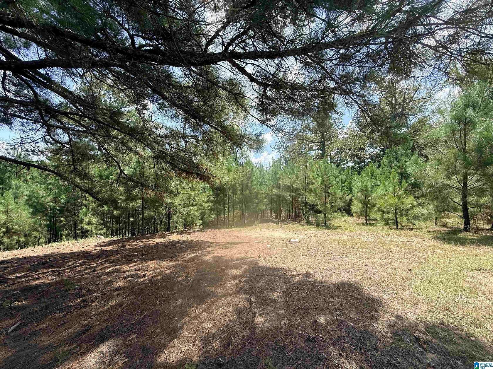 2.9 Acres of Residential Land for Sale in West Blocton, Alabama