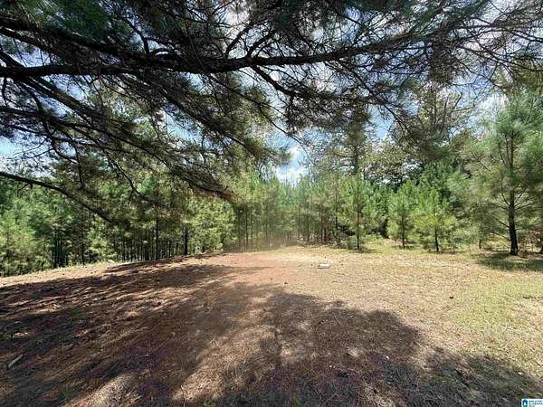 2.9 Acres of Residential Land for Sale in West Blocton, Alabama
