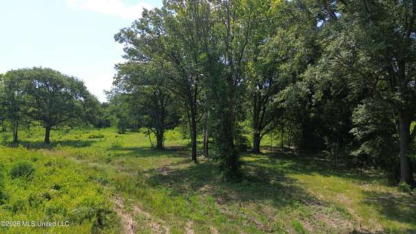 42.9 Acres of Commercial Land for Sale in Gluckstadt, Mississippi