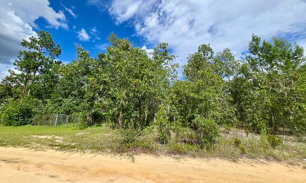0.4 Acres of Residential Land for Sale in Interlachen, Florida