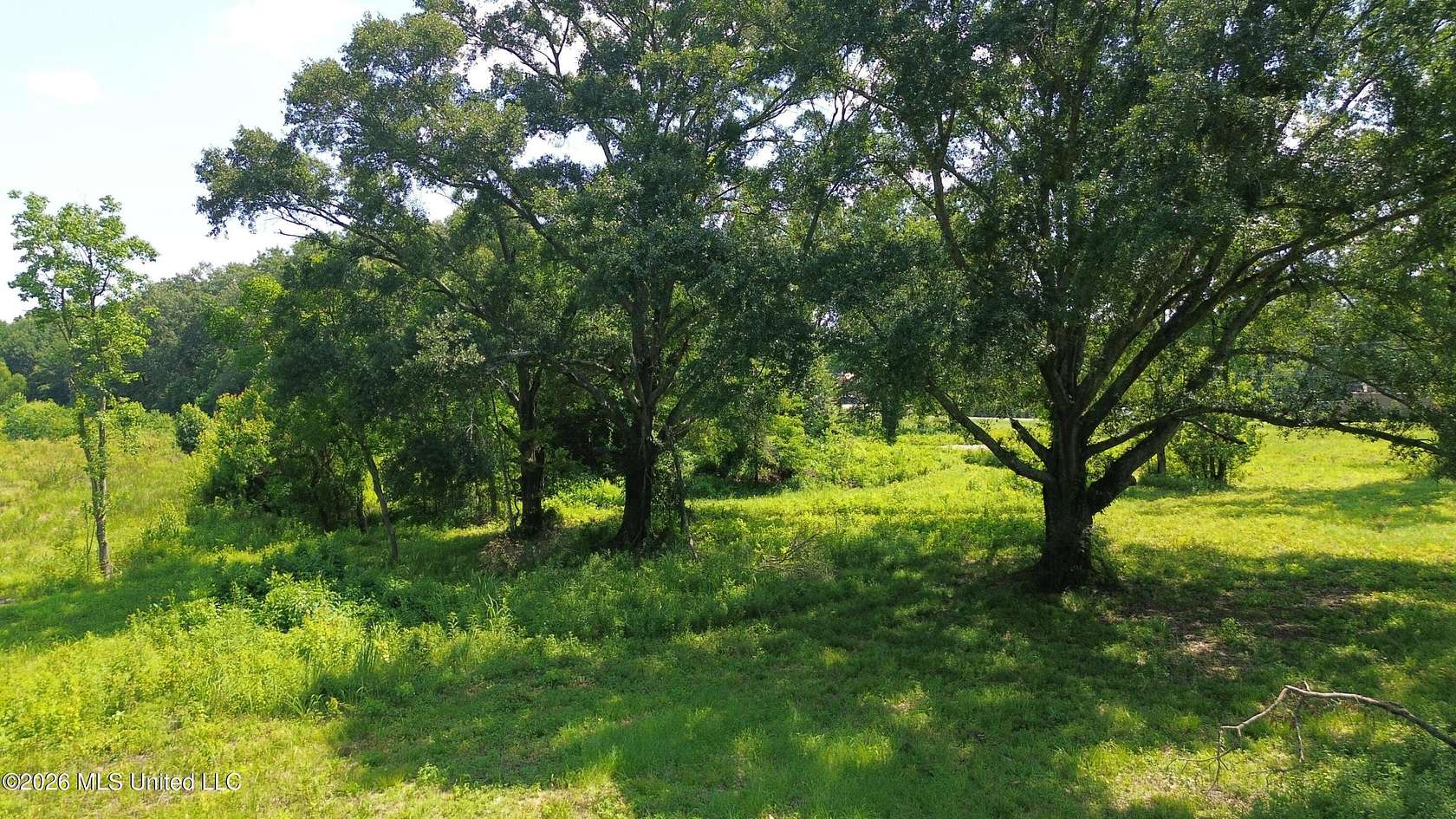 20 Acres of Commercial Land for Sale in Gluckstadt, Mississippi
