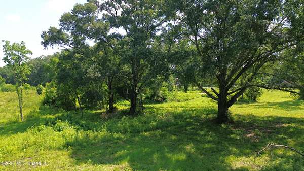 20 Acres of Commercial Land for Sale in Gluckstadt, Mississippi