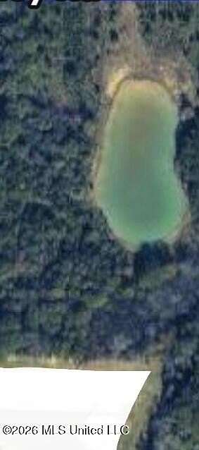 15.2 Acres of Land for Sale in Canton, Mississippi