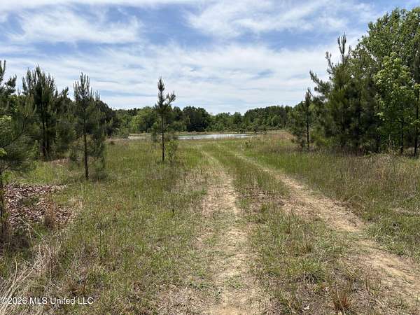 15.2 Acres of Land for Sale in Canton, Mississippi