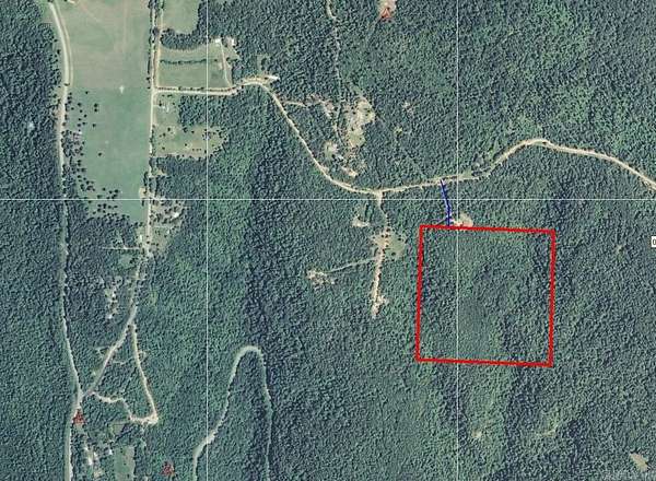 39.6 Acres of Recreational & Residential Land for Sale in Clarksville, Arkansas