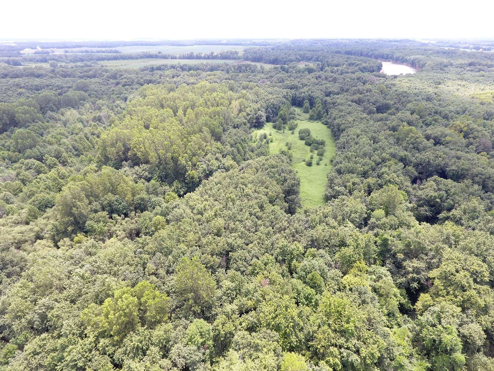 52.5 Acres of Recreational Land for Sale in Flat Rock, Illinois