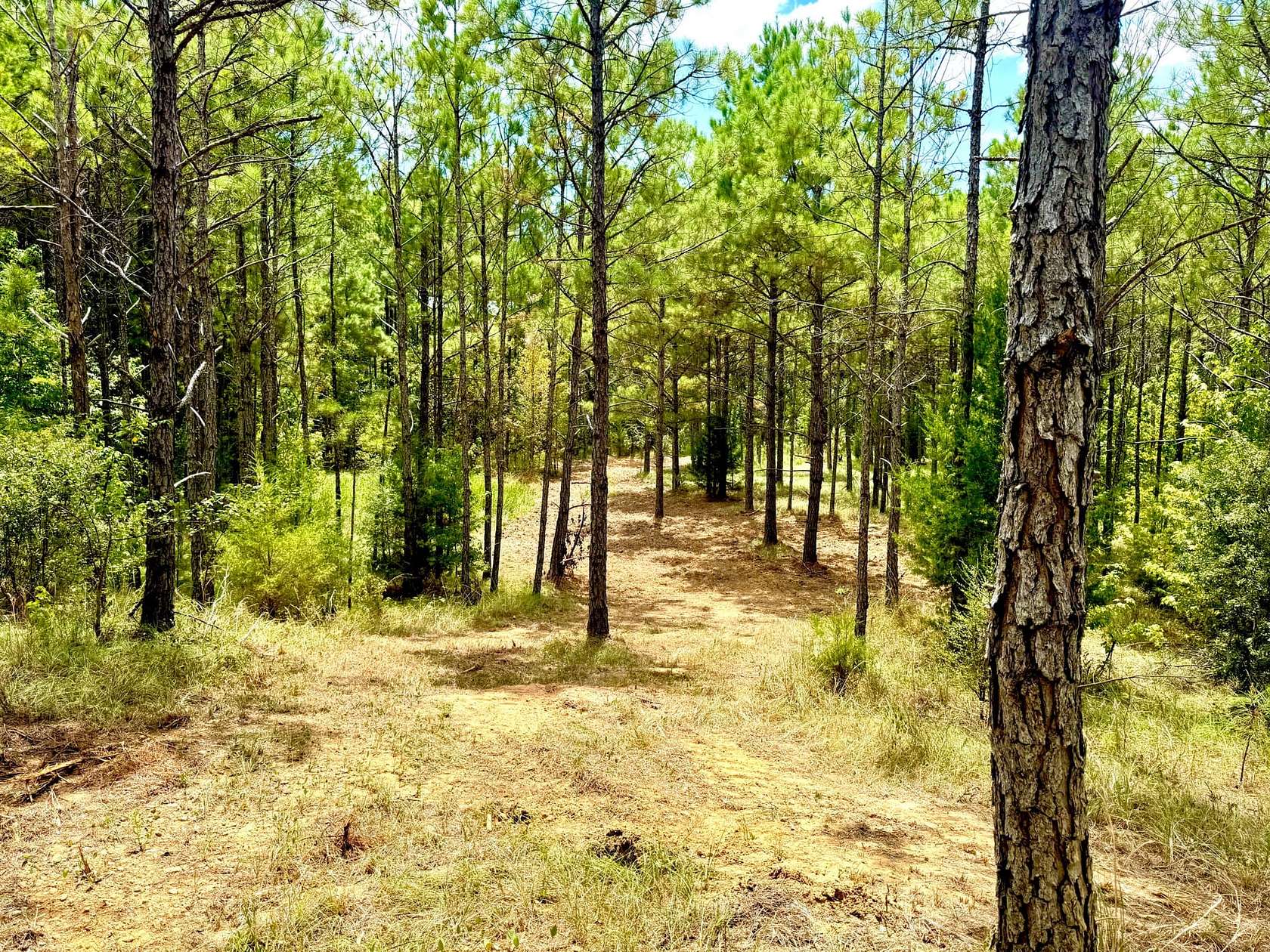 21.9 Acres of Improved Recreational Land for Sale in Hazlehurst, Mississippi