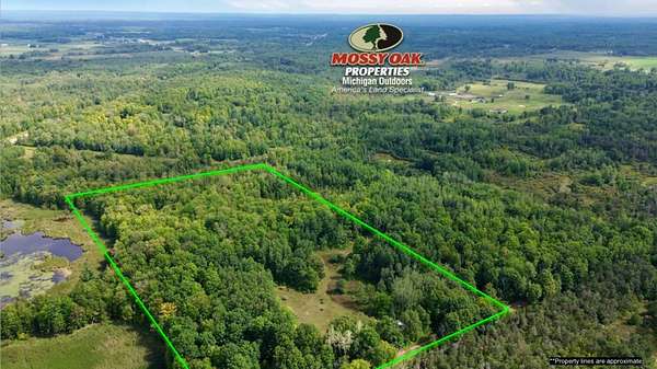 19.3 Acres of Land for Sale in Marion, Michigan