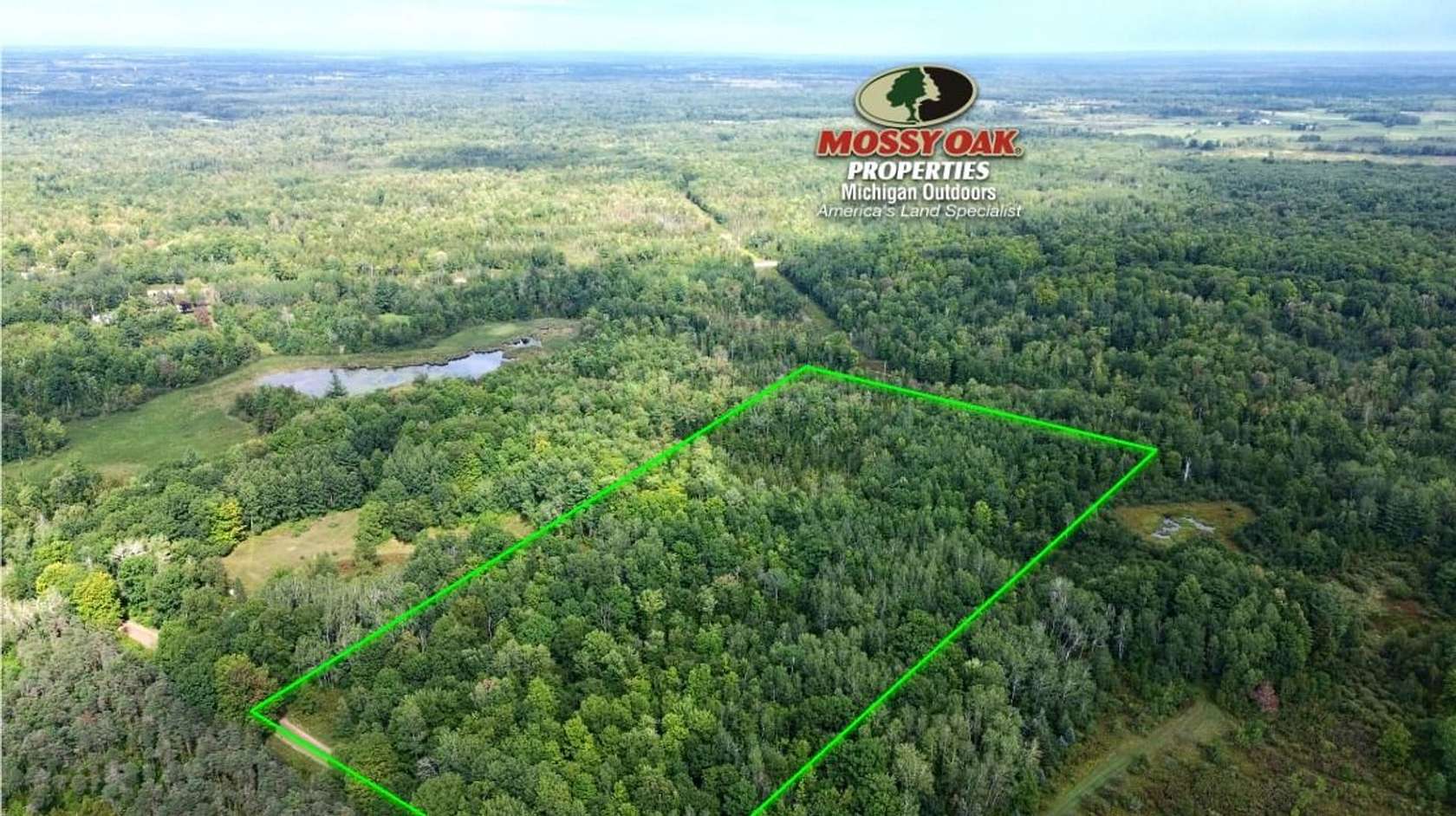 20 Acres of Land for Sale in Marion, Michigan