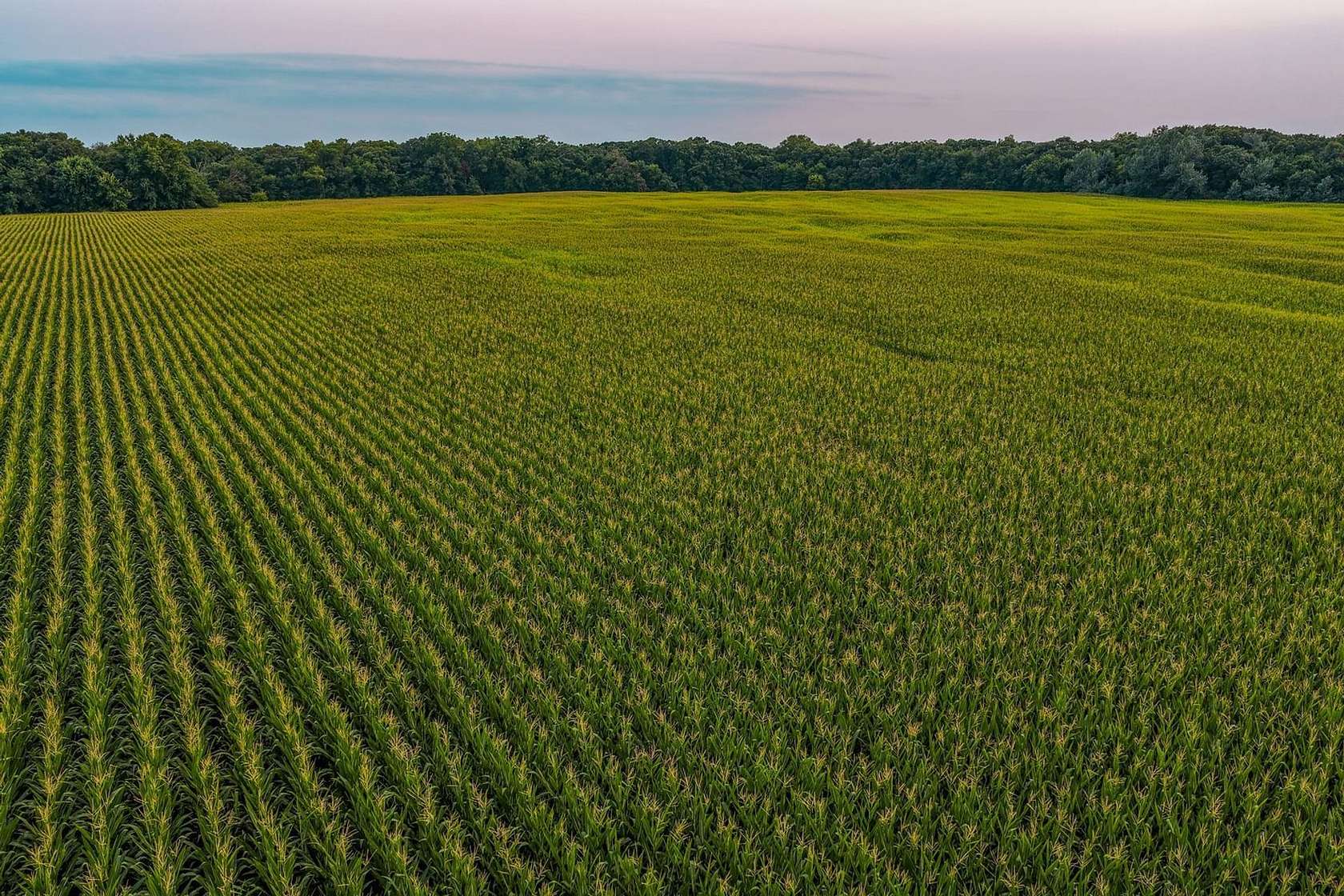 160 Acres of Land for Sale in Stratford, Iowa