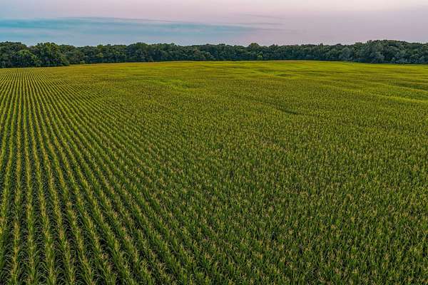 160 Acres of Land for Sale in Stratford, Iowa