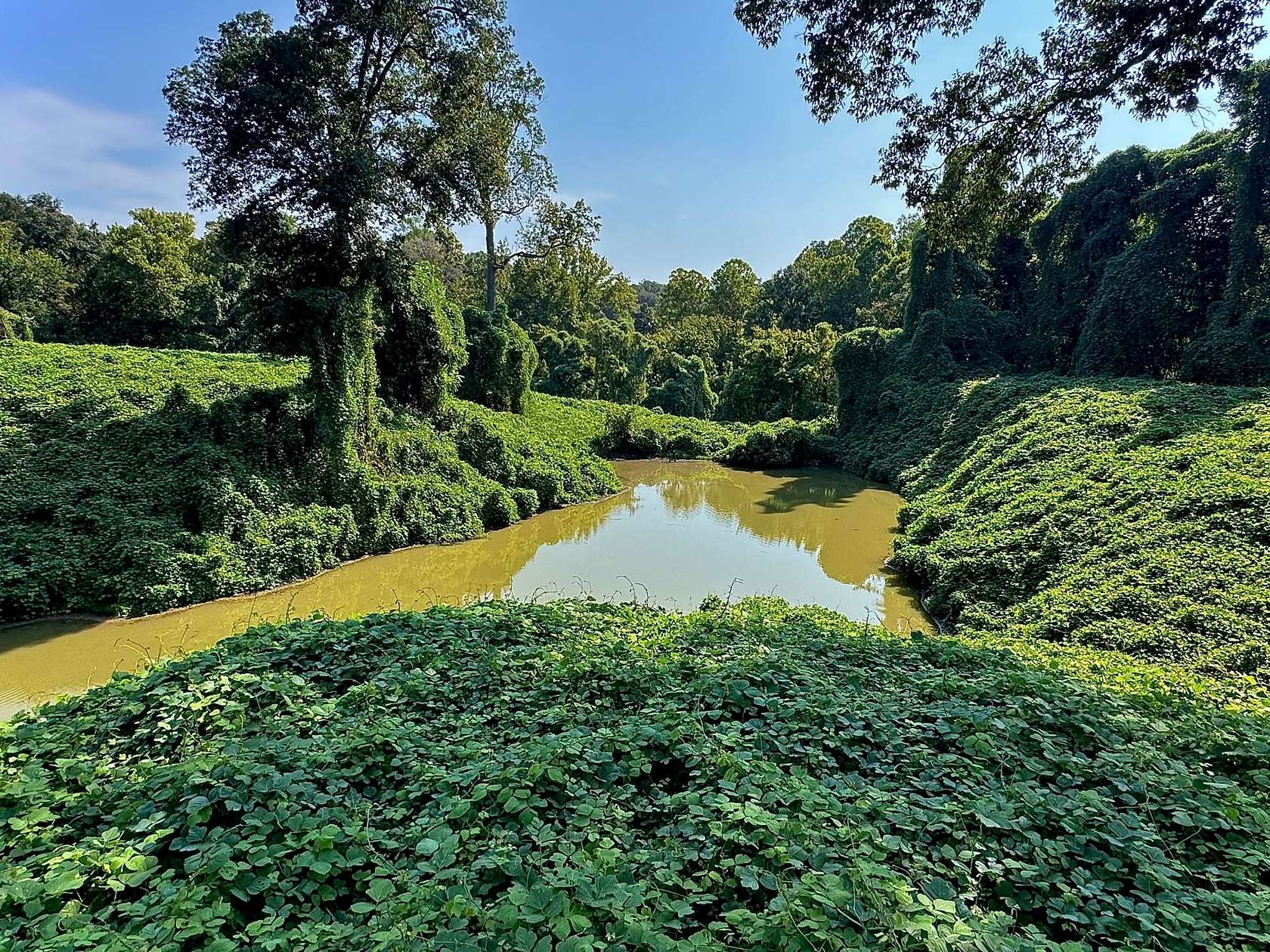 300 Acres of Recreational Land for Sale in Natchez, Mississippi