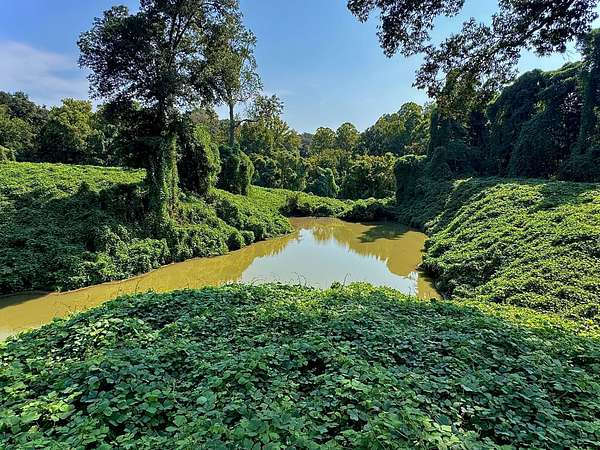 300 Acres of Recreational Land for Sale in Natchez, Mississippi