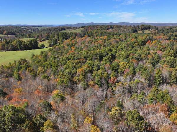 44.1 Acres of Land for Sale in Willis, Virginia