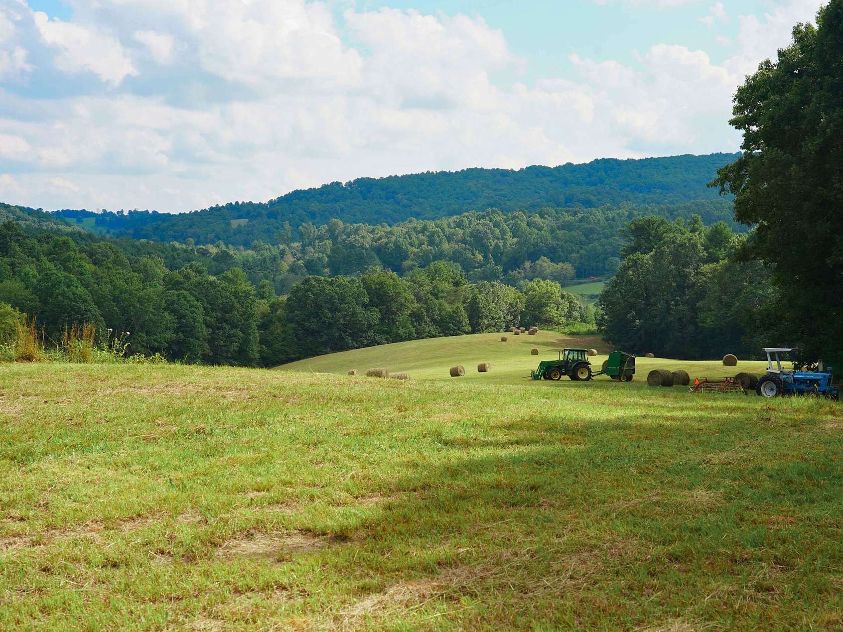 22.4 Acres of Land for Sale in Willis, Virginia